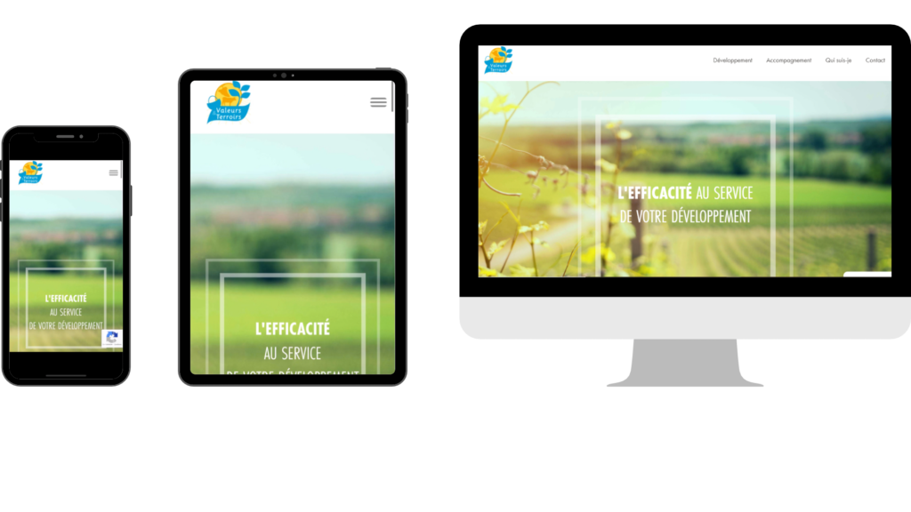 valeurs-terroirs_ines-josseaume responsive écrans